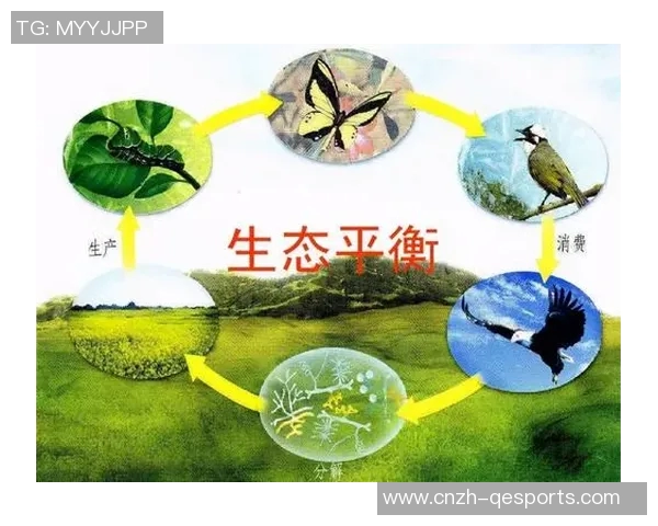 大班与野猫的激烈对决揭示了野生动物生存的残酷法则与生态平衡的重要性